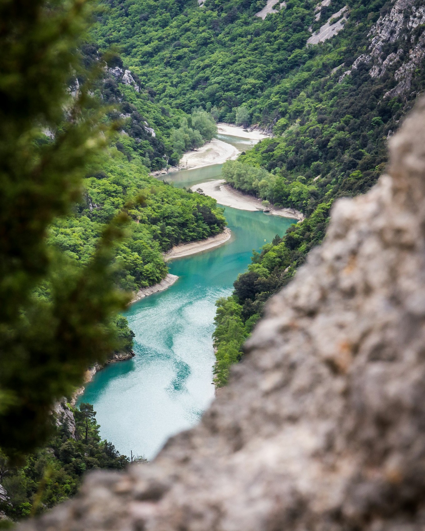 The turquoise river of the Gorges du Verdon seen between rock and cypress